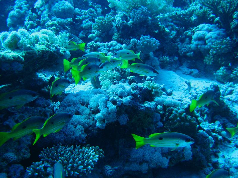 2009-12-05 11-15-42S.JPG